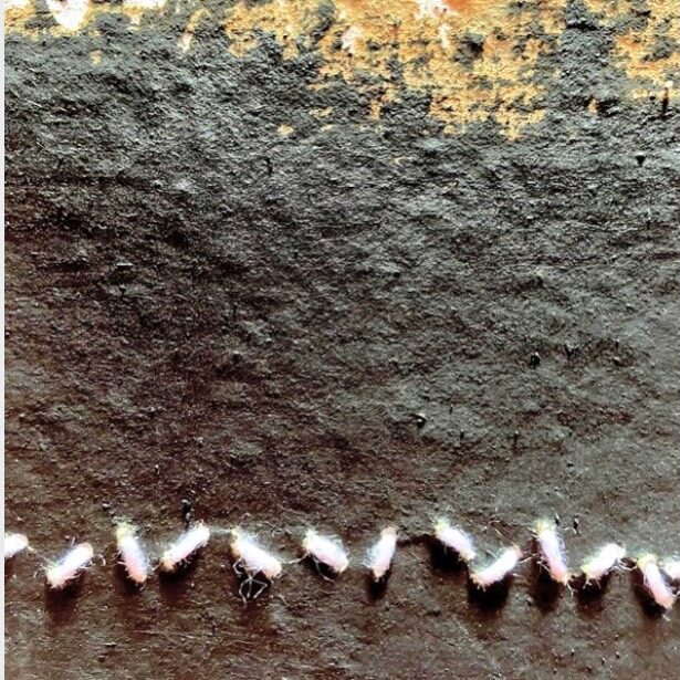 Instagram post from muriel_castro_. This post is in position 7.