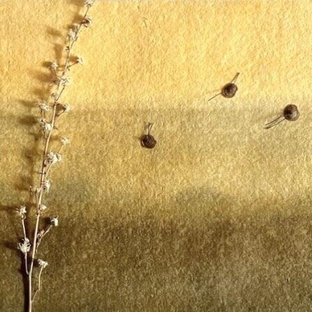 Instagram post from muriel_castro_. This post is in position 3.