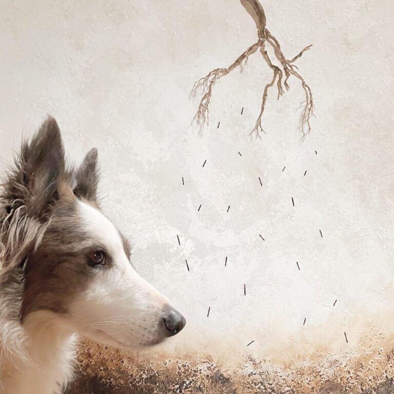 Instagram post from muriel_castro_. This post is in position 6.