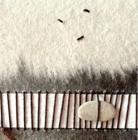 Instagram post from muriel_castro_. This post is in position 4.